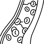 diagrama de microcirculación